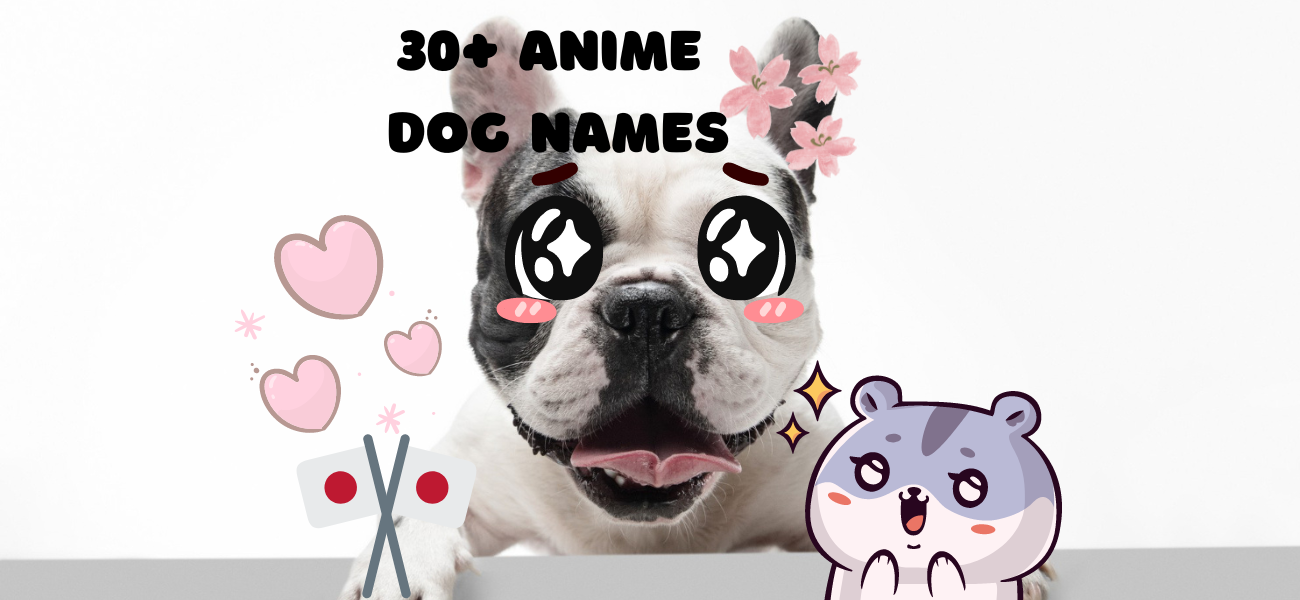 Anime Dog Names - My Dog's Name