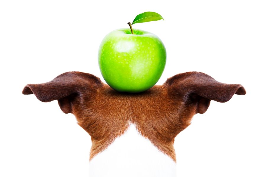 Are Whole Apples or Apple Slices Safe for Dogs?