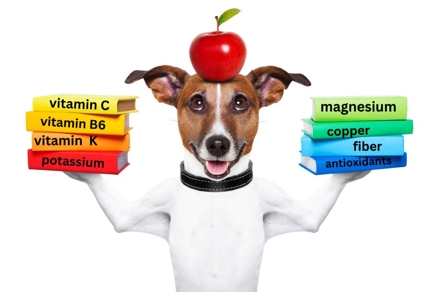 An Apple a Day Keeps the Doctor Away: Benefits of Apples for Dogs