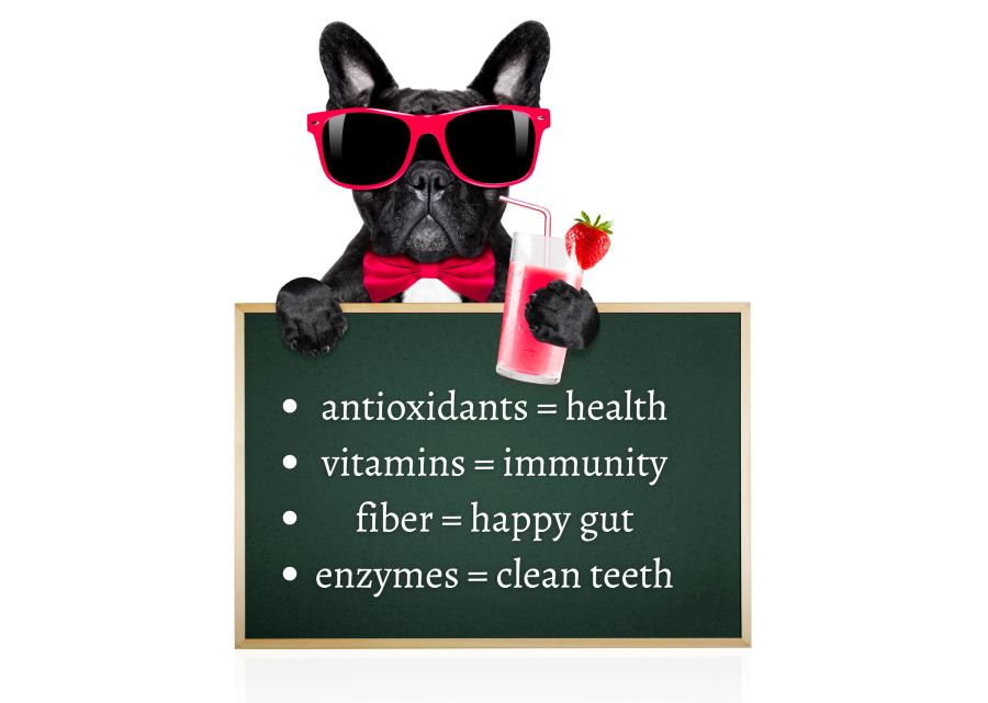 Can Dogs Eat Strawberries? Benefits of Strawberries in Dogs