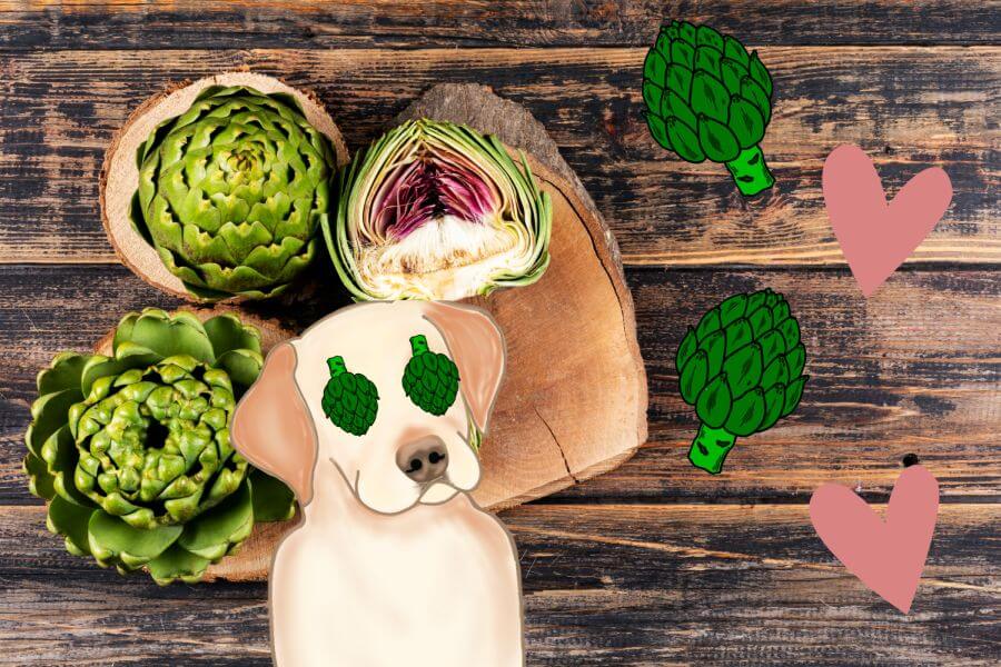 Can Dogs Eat Artichokes? - PetsTime