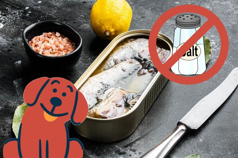 Can Dogs Eat Sardines? PetsTime