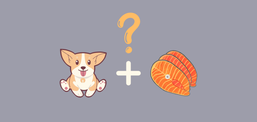 can dogs eat fish