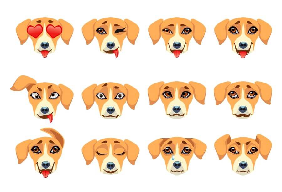 Can Fish Affect a Dog's Mood?