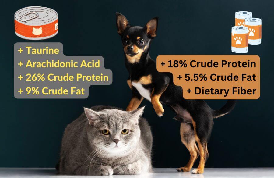 Cats and Dogs â Differences in Nutritional Needs