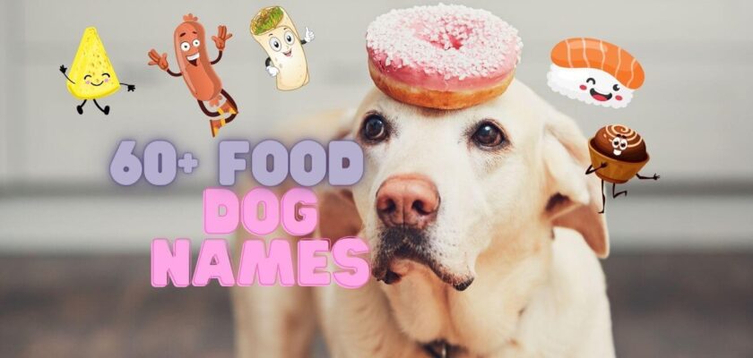 food dog names