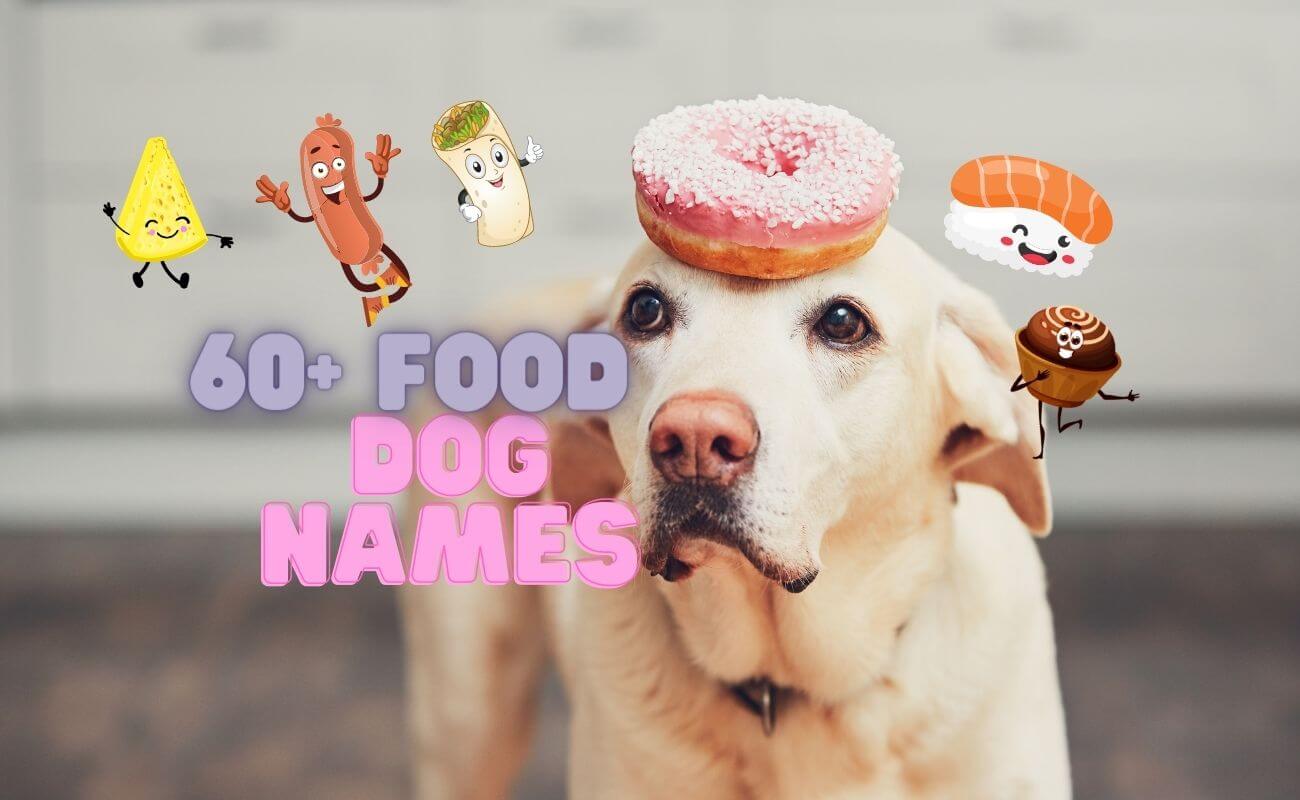 food-dog-names-60-food-inspired-dog-name-ideas