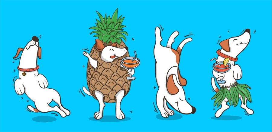 fresh pineapple for your dog