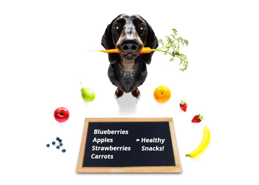 Healthy Alternatives to Grapes That Are Safe for Dogs