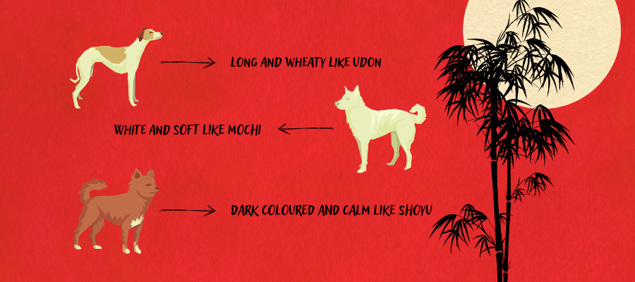 Japanese Food Dog Names