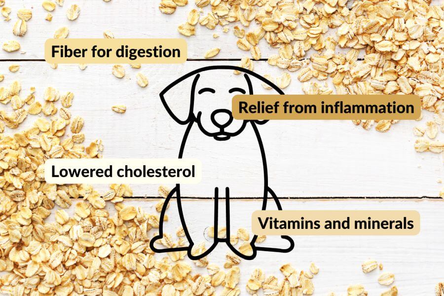 Oatmeal Nutrition Facts