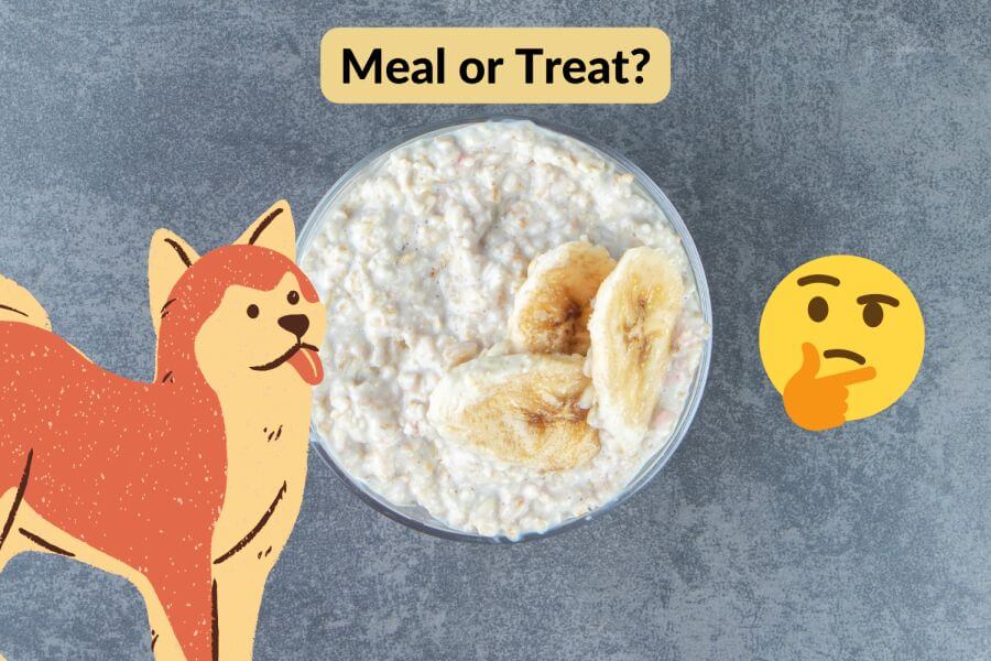 can dogs eat grits or oatmeal