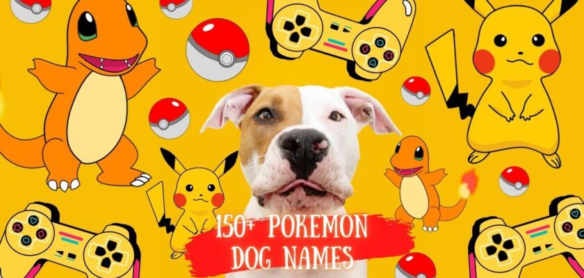 pokemon dog names