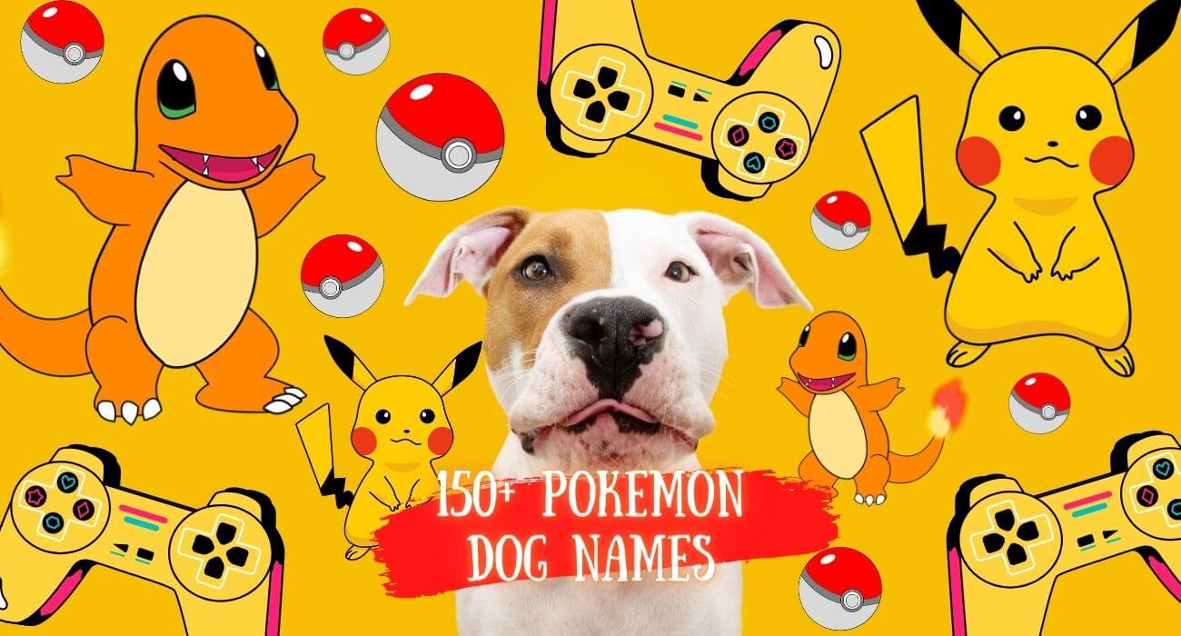 pokemon-dog-names-the-ultimate-list-pokemon-dog-names-choose-the-best