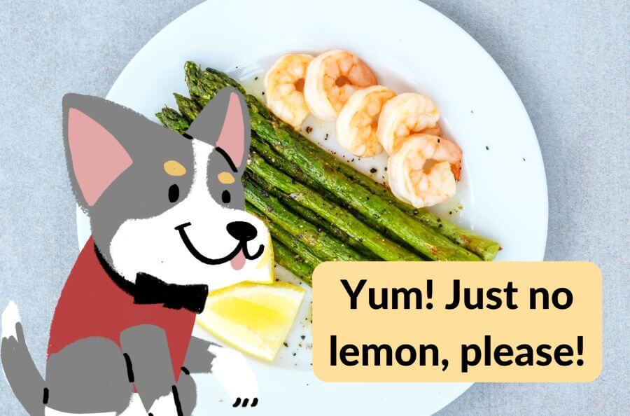 Raw or Cooked? How to Prepare Asparagus for Your Pup