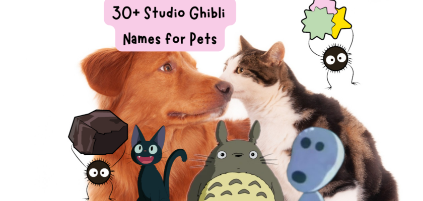 studio ghibli names for pets