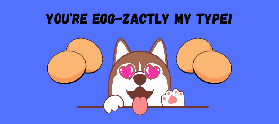 the benefits of eggs for dogs