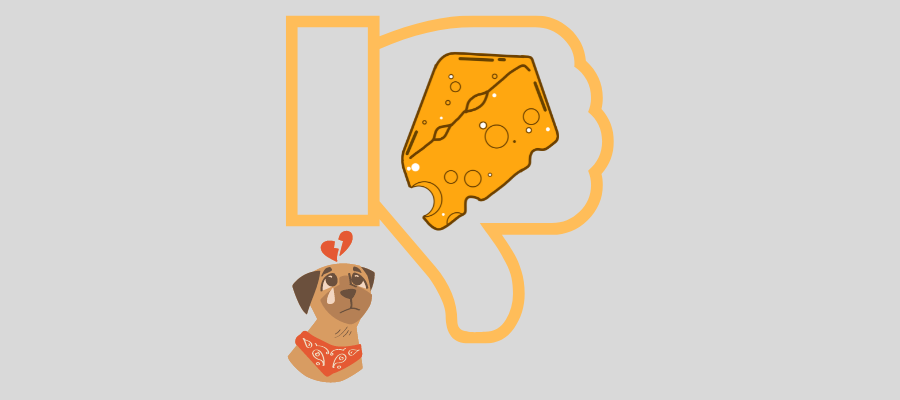 the risks of feeding cheese to dogs