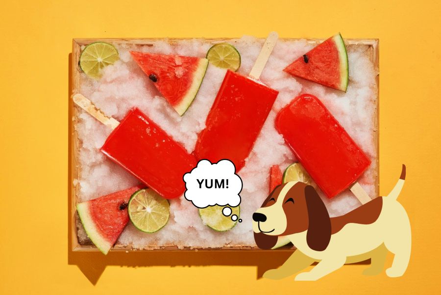 Top Watermelon Snacks for Dogs