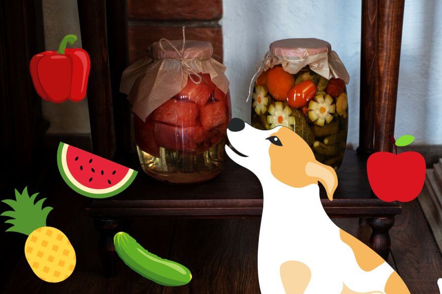 Types of Pickles That Are Safe for Dogs in Moderation