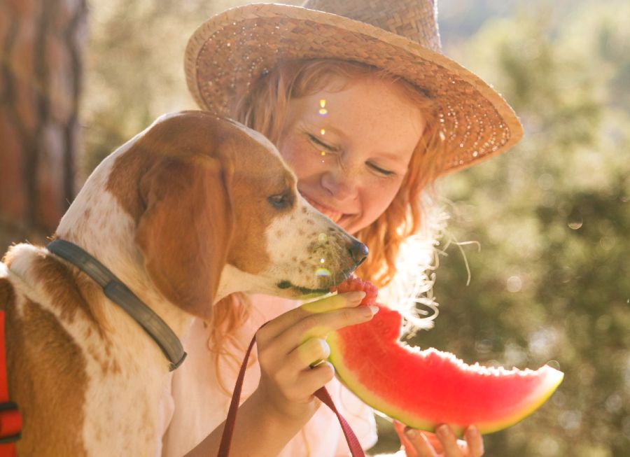 What Parts of Watermelon to Avoid?