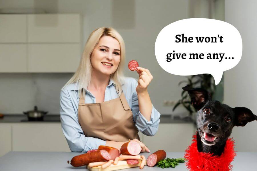 Can Dogs Eat Salami? PetsTime