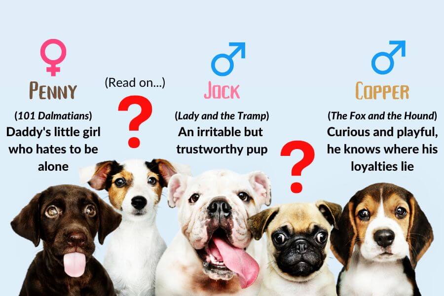 10 Disney Dog Names From Movies That Feature Dogs