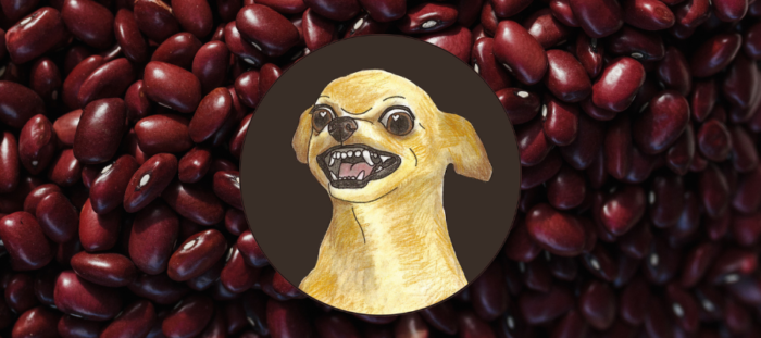 can-dogs-eat-kidney-beans-benefits-of-kidney-beans-for-dogs