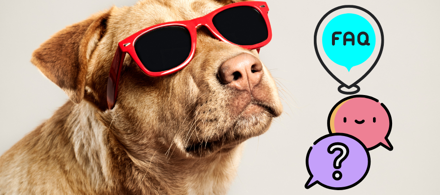Cool Dog Names FAQs