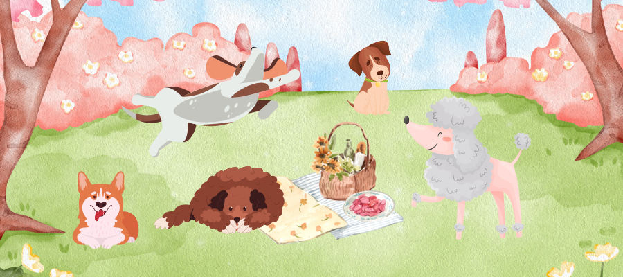 Cute Food Names for Dogs