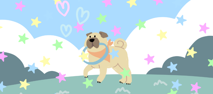 Cute Male Dog Names