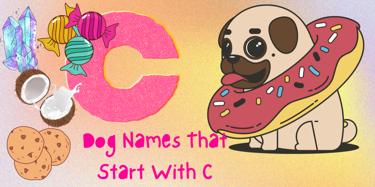 99-dog-names-that-start-with-c-unleashing-creativity-let-s-name