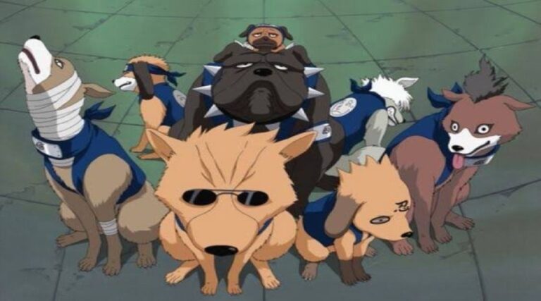 Naruto Dog | Akamaru of the Inuzuka Clan and More