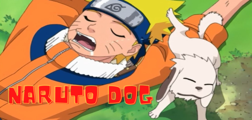 Naruto dog