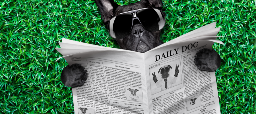 The Coolest Male Dog Names
