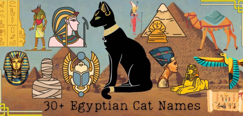 egyptian cat names