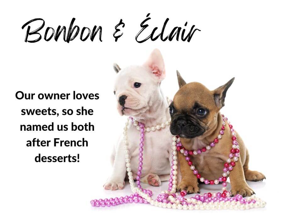 Female French Dog Names