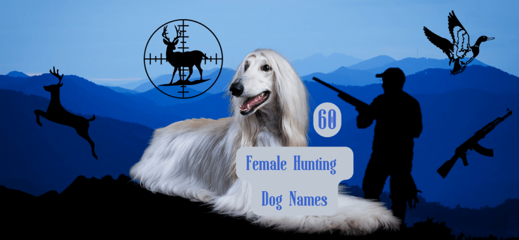 female-hunting-dog-names-60-ideas-for-a-girl-hound