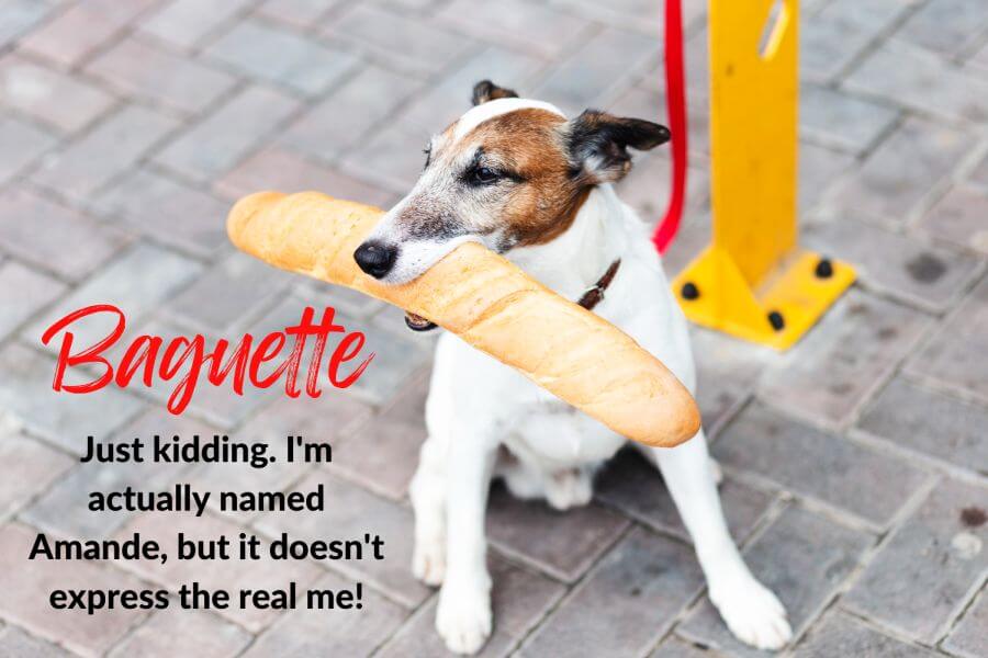 French Dog Names Based on Food