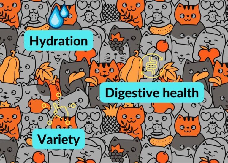 What Fruits Can Cats Eat? Human Food Safe for Cats