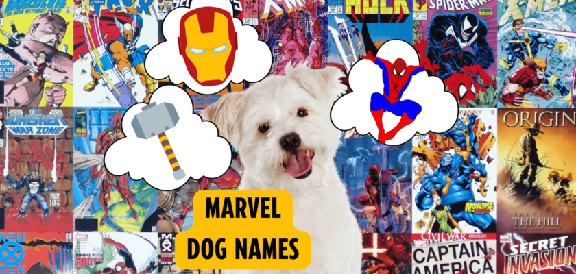 marvel dog names