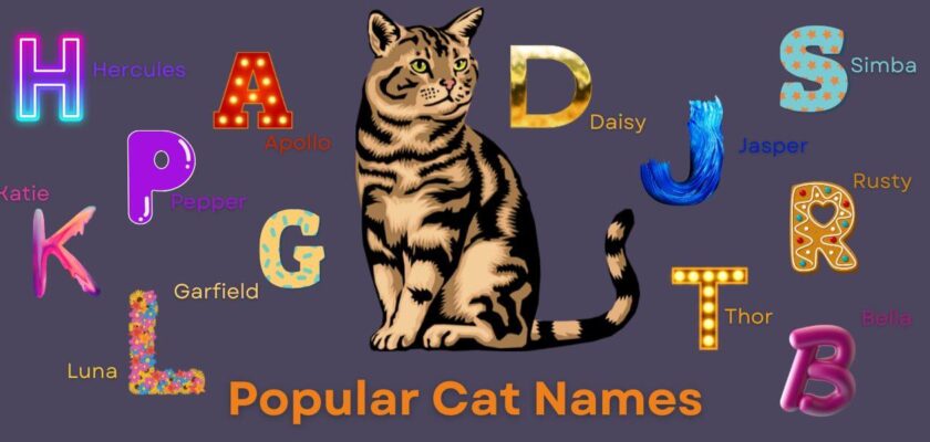 popular cat names
