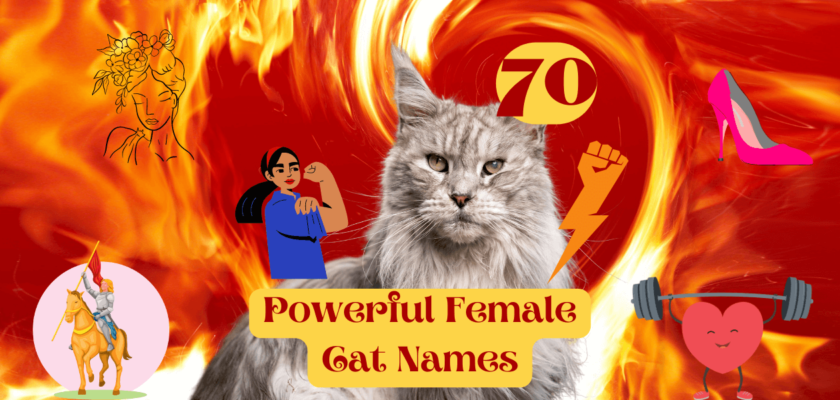powerful female cat names