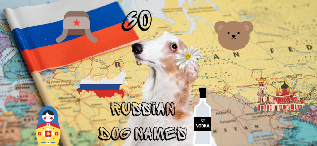 Russian Dog Names 1024x473 