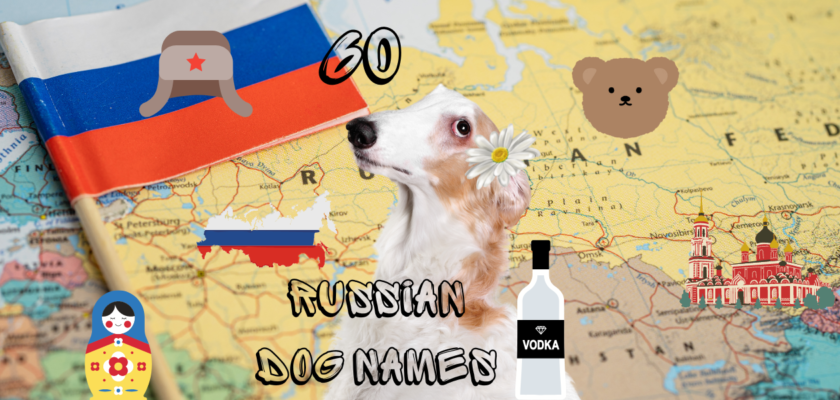 russian dog names
