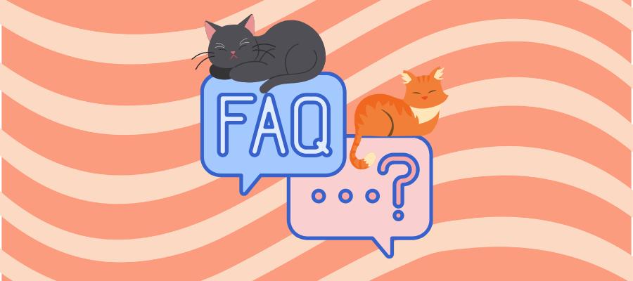 Frequently Asked Questions About Cats Lying on You