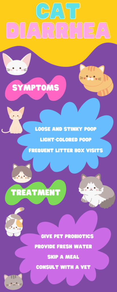 cat diarrhea infographic