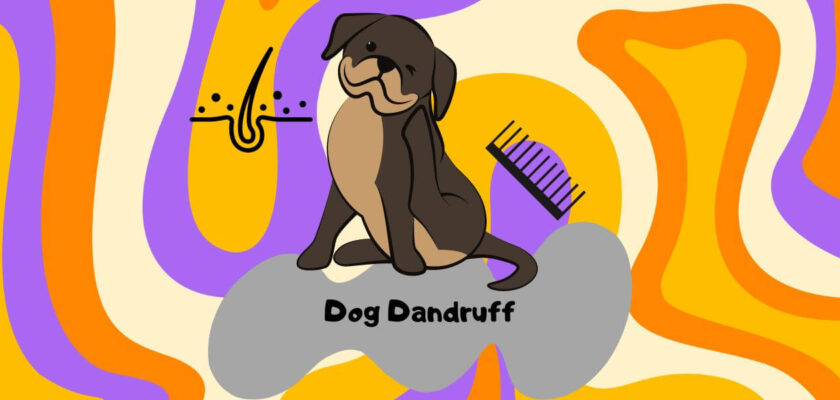 why does my dog have dandruff