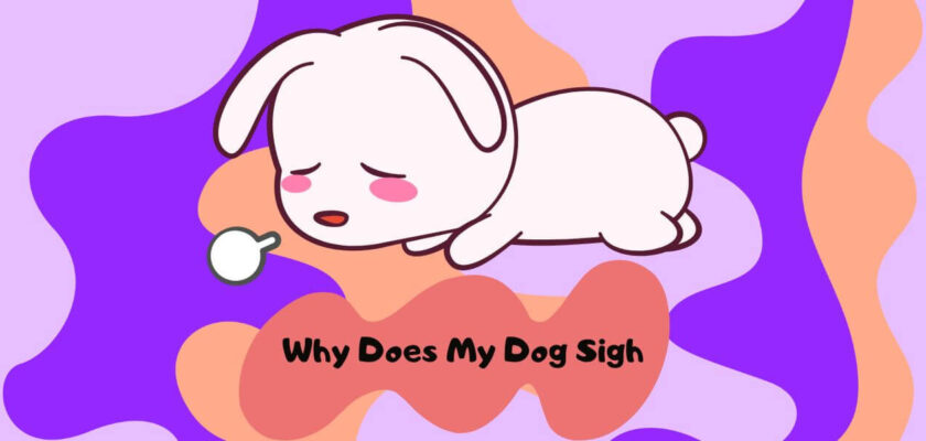 why does my dog sigh